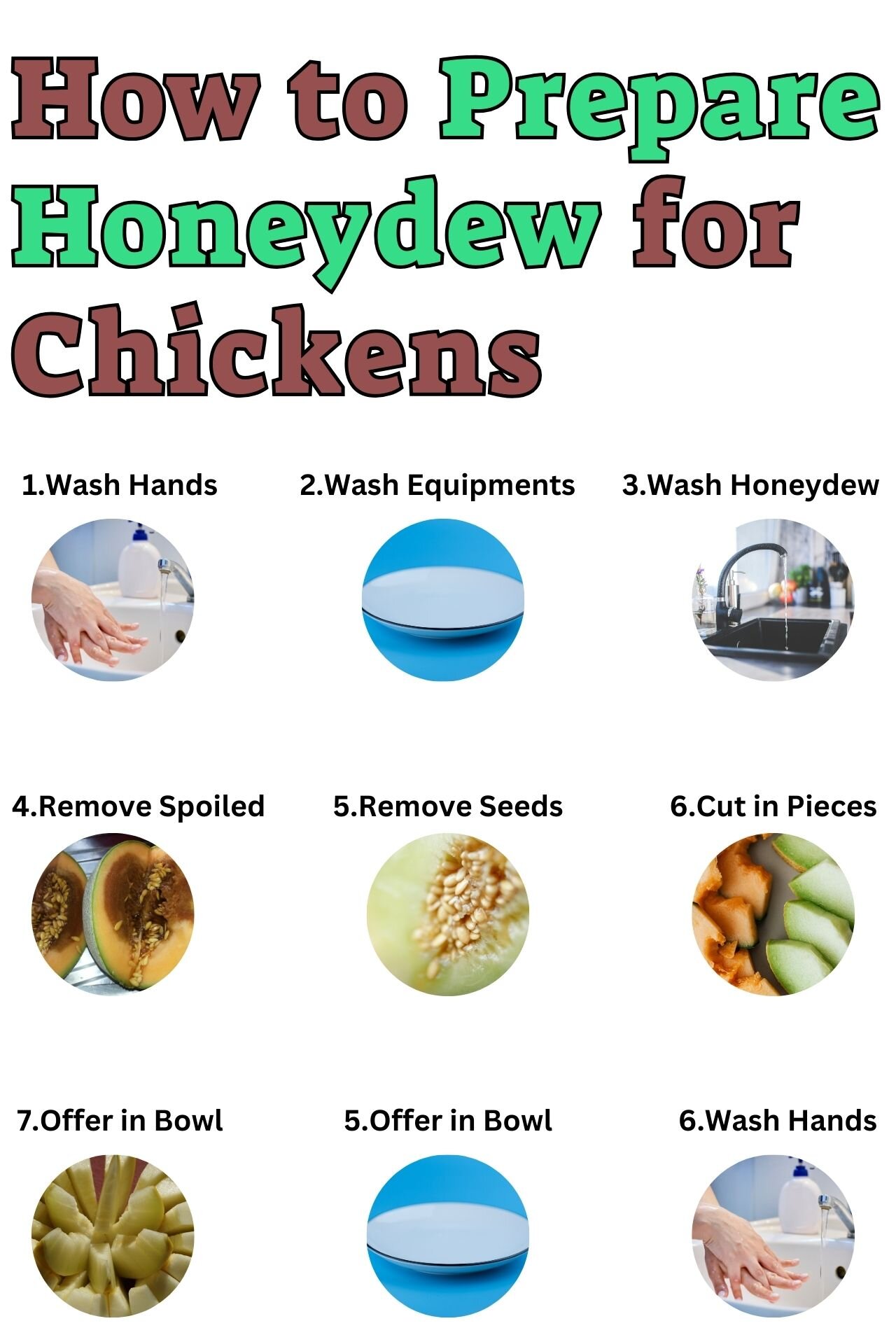 Can Chickens Eat Honeydew