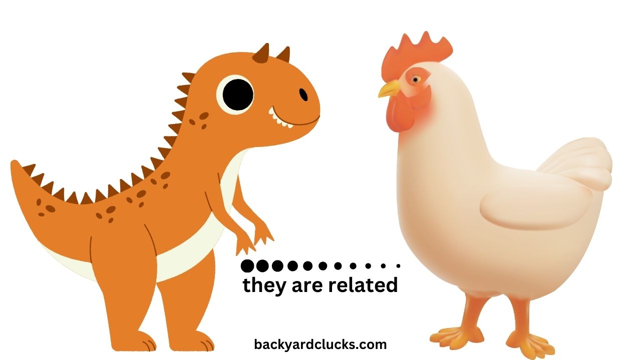 chicken are form by dinosaur