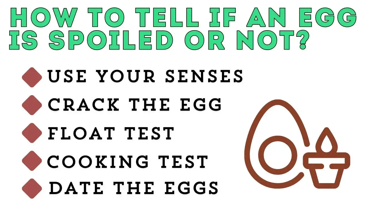 How Long Do Chicken Eggs Last