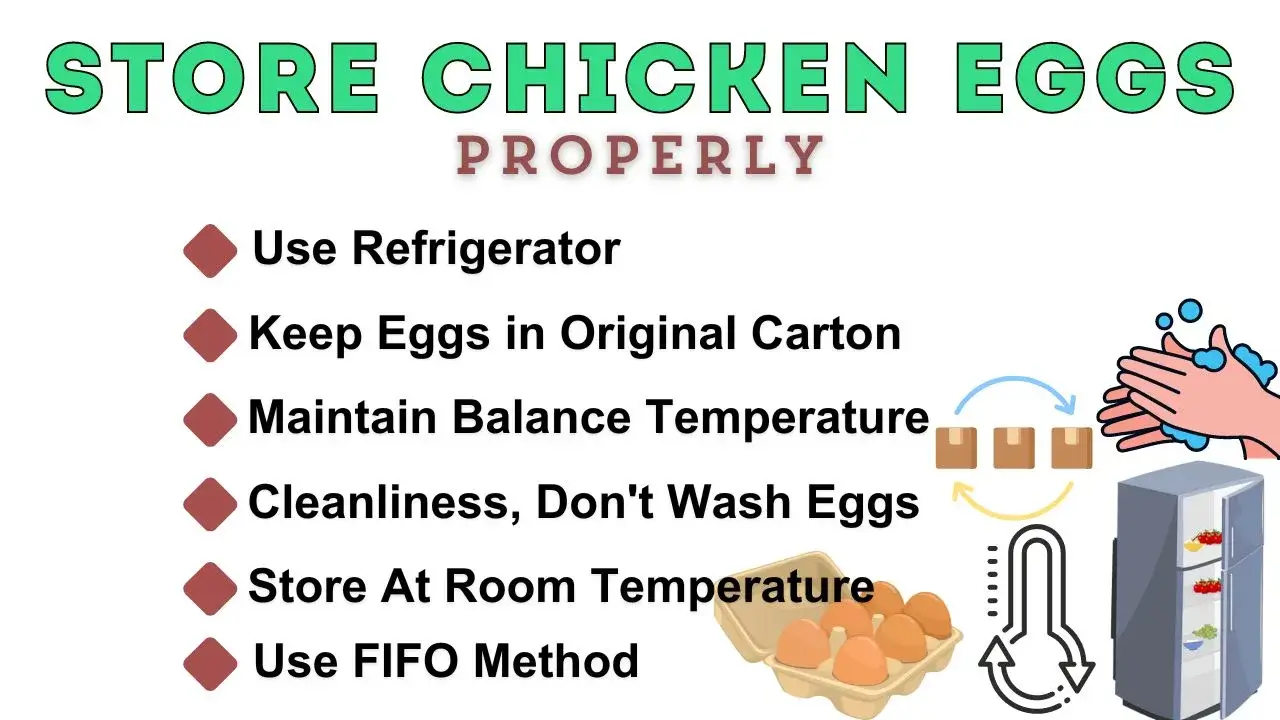 How Long Do Chicken Eggs Last