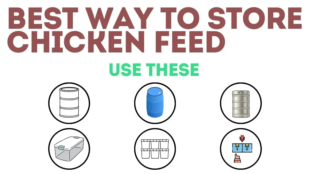 ways to keep bird feed for long time