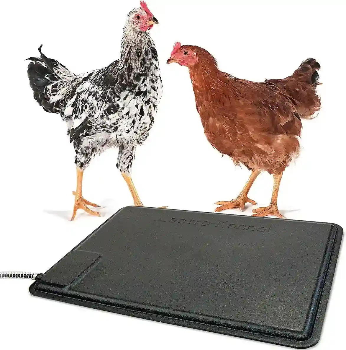 best heating pad for chickens