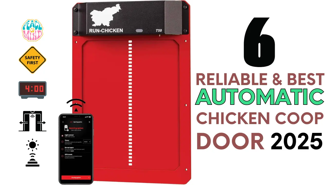 Best Automatic Chicken Coop Door