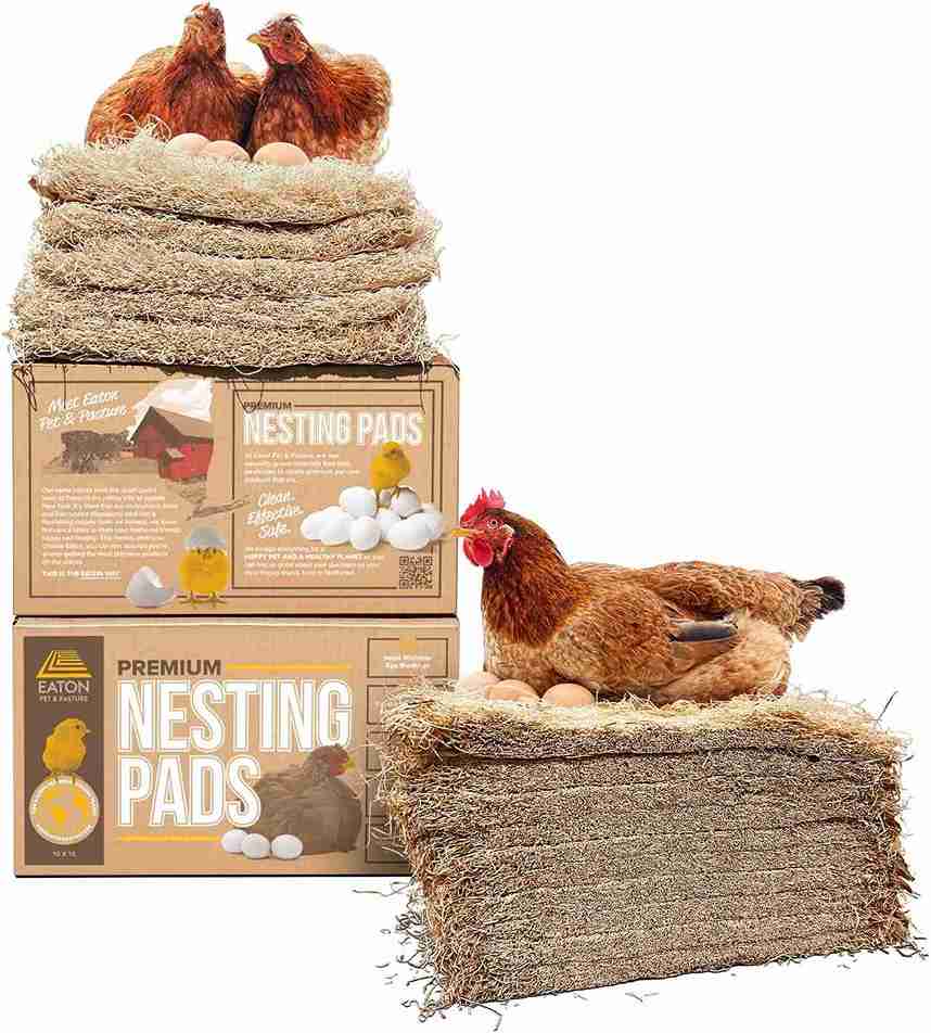 best bedding for chickens