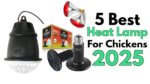 5 Best Heat Lamp For Chicken Coop 2025