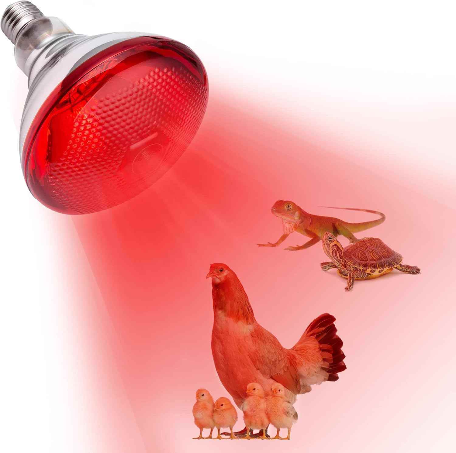 pet bulb heater