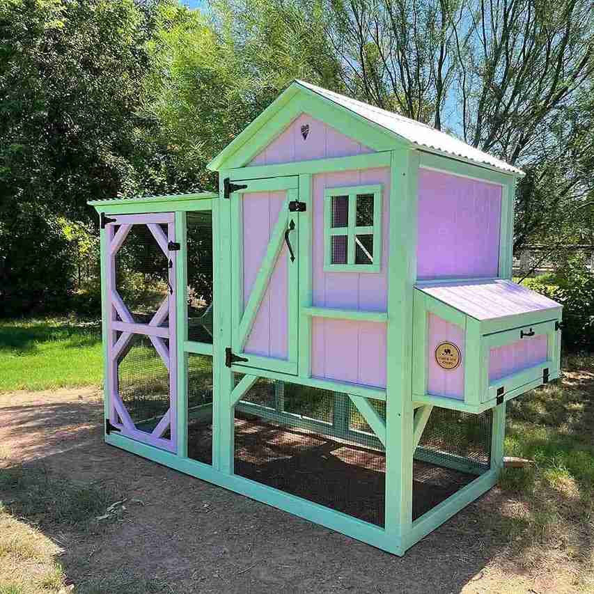 color you chicken coop 