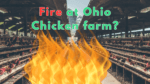 How many chicks were lost in the fire at a large Ohio farm