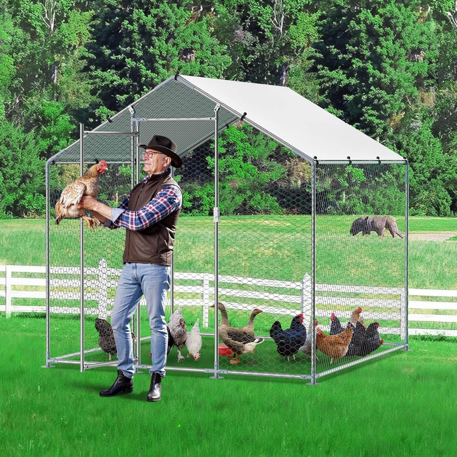 best poultry coops