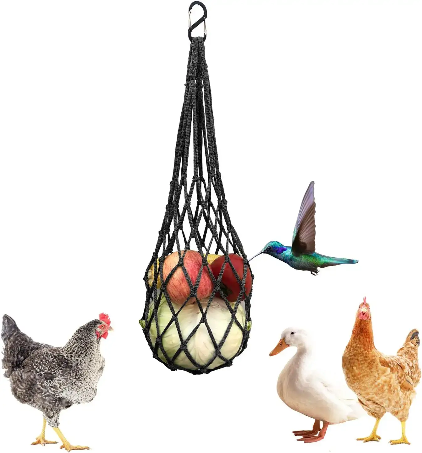 feeder toy for ducks